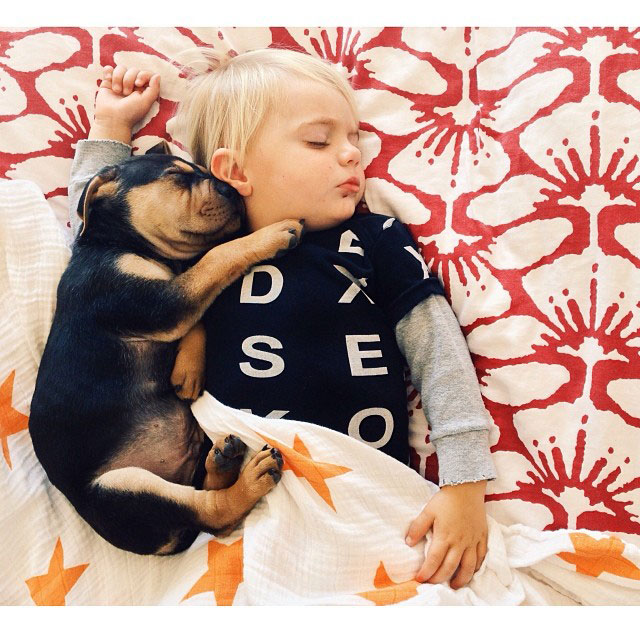 toddle naps with puppy theo and beau instagram 12 10 Reasons Why Dogs in Photo Booths is the Best Idea Ever