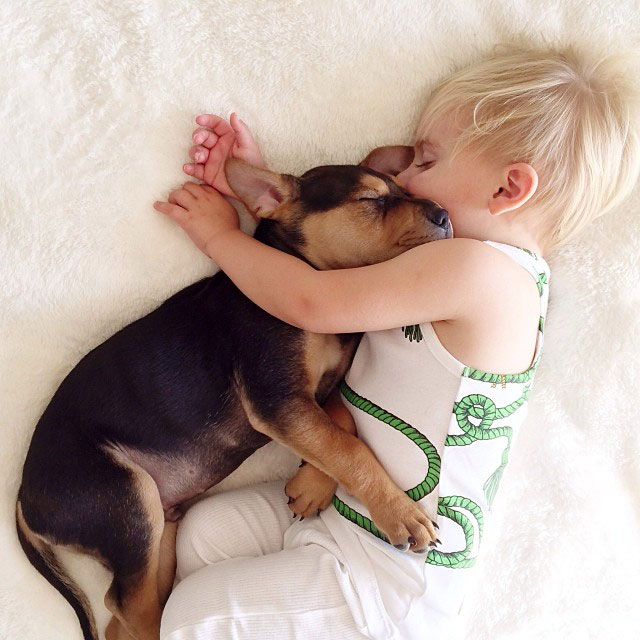 toddle naps with puppy theo and beau instagram (13)