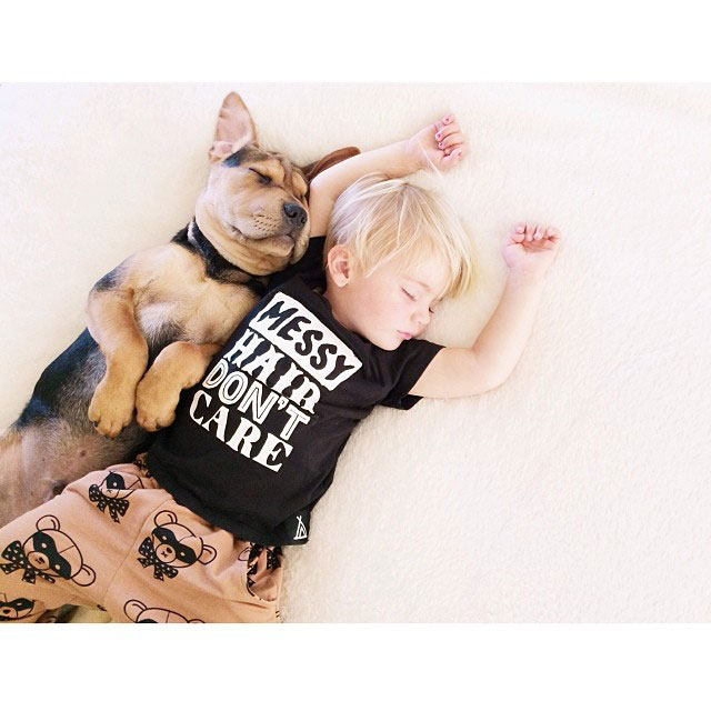 toddle naps with puppy theo and beau instagram (14)