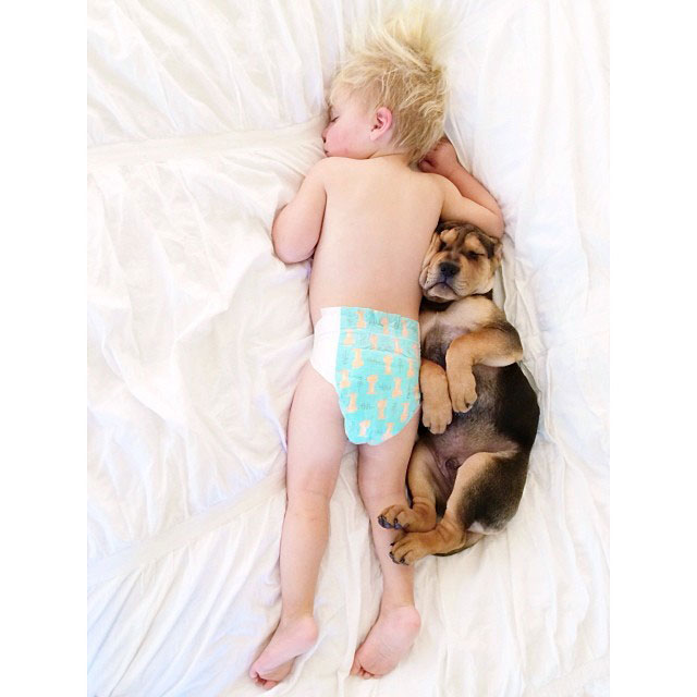 toddle naps with puppy theo and beau instagram (15)