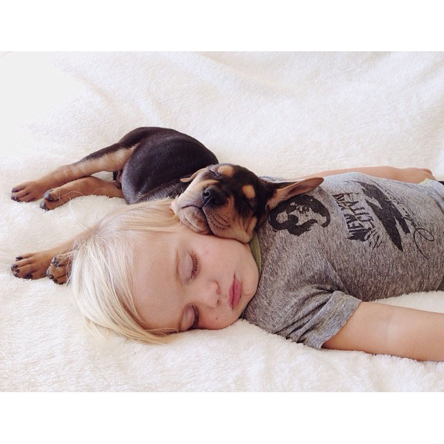 toddle naps with puppy theo and beau instagram (16)