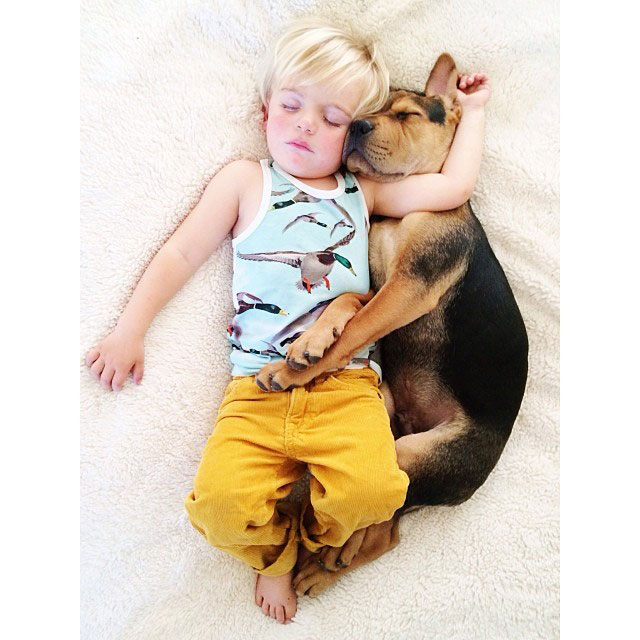 toddle naps with puppy theo and beau instagram (18)