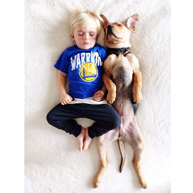 toddle naps with puppy theo and beau instagram (2)
