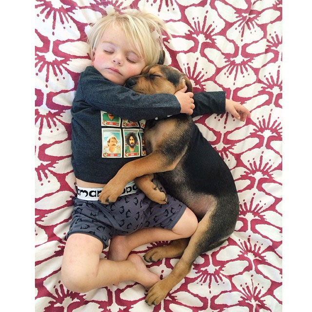 toddle naps with puppy theo and beau instagram (20)