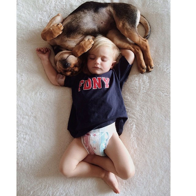 toddle naps with puppy theo and beau instagram (3)