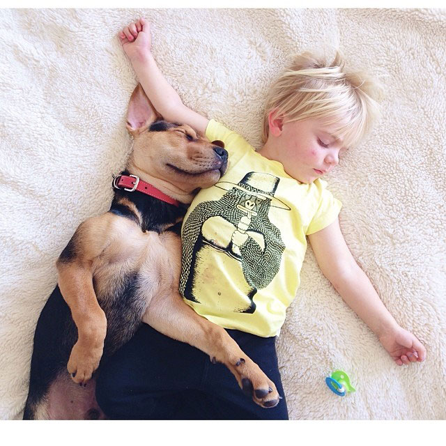 toddle naps with puppy theo and beau instagram (4)