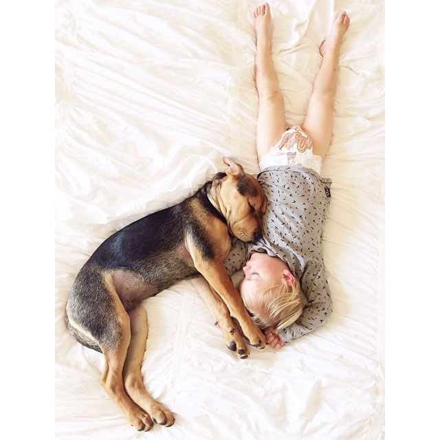 toddle naps with puppy theo and beau instagram (5)