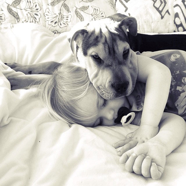 toddle naps with puppy theo and beau instagram (6)