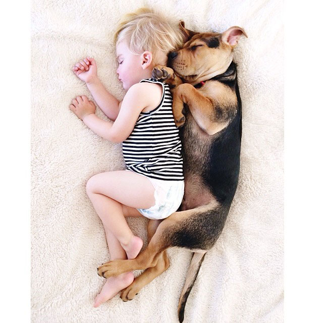 toddle naps with puppy theo and beau instagram (7)