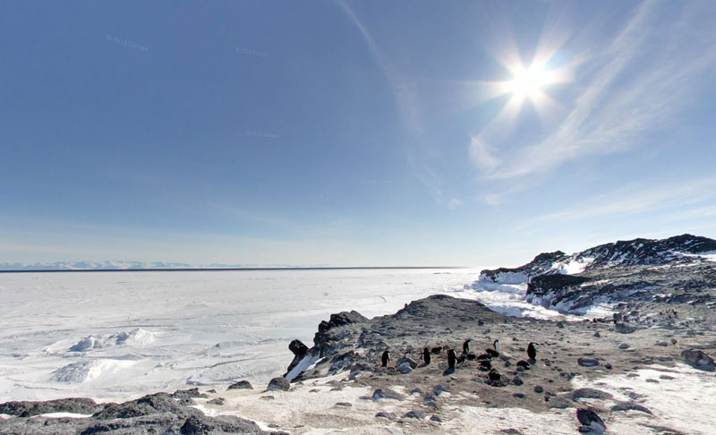 adelie penguin rookery Exploring Antarctica with Google Street View