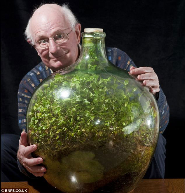 david latimer sealed bottle garden A Bonsai Tree in Space