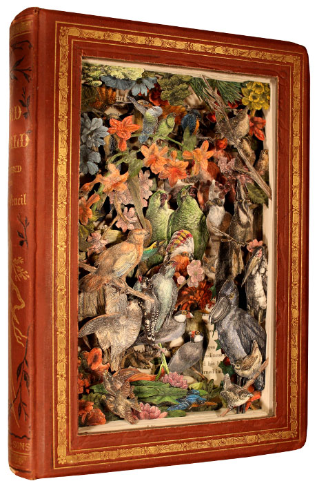 Discarded Books Transformed Into Exploding 3D Collages by Kerry Miller (1)