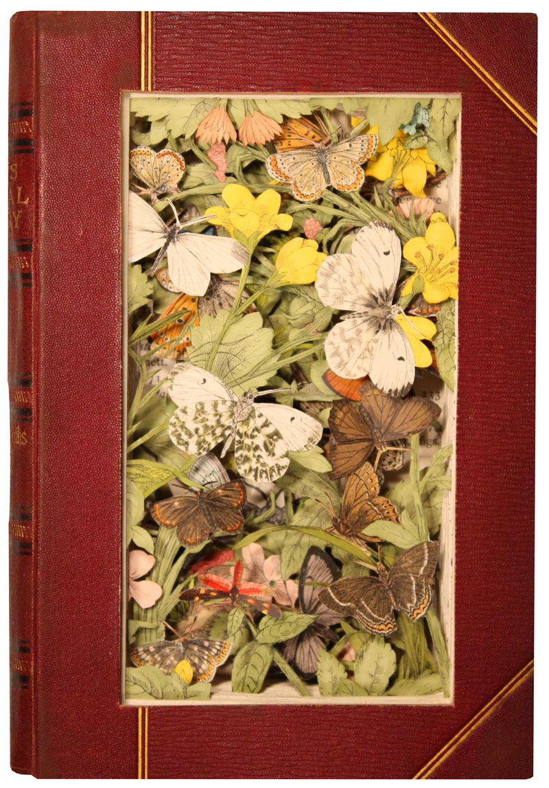 Discarded Books Transformed Into Exploding 3D Collages by Kerry Miller (5)