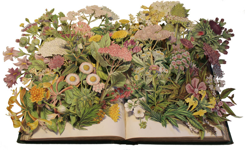 Discarded Books Transformed Into Exploding 3D Collages by Kerry Miller (6)
