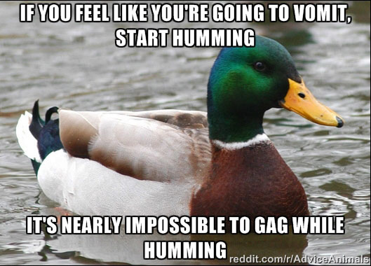 tips from the worlds smartest duck best of actual advice mallard (1)