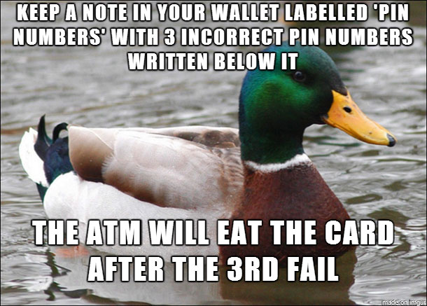 tips from the worlds smartest duck best of actual advice mallard (12)