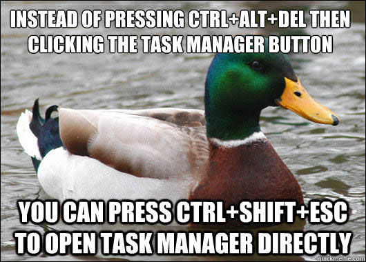 tips from the worlds smartest duck best of actual advice mallard (14)