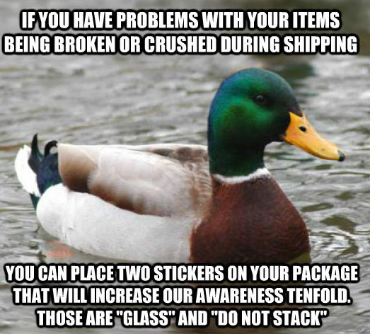 tips from the worlds smartest duck best of actual advice mallard (17)