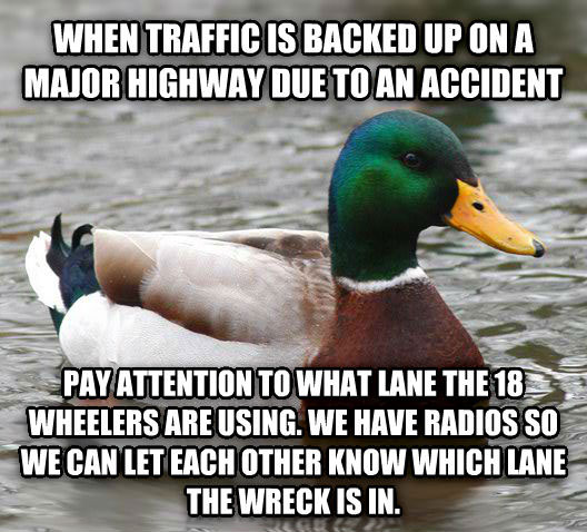 tips from the worlds smartest duck best of actual advice mallard (18)