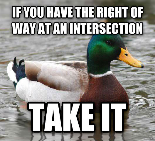 tips from the worlds smartest duck best of actual advice mallard (23)