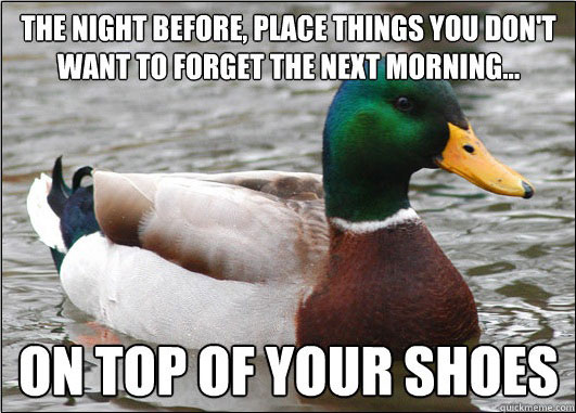 tips from the worlds smartest duck best of actual advice mallard (24)