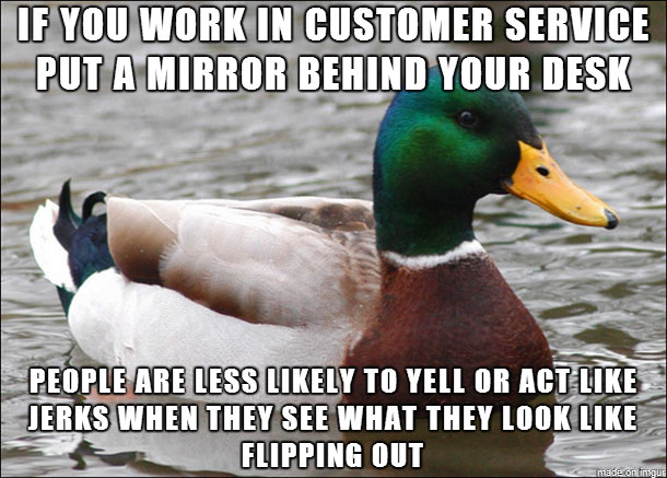 tips-from-the-worlds-smartest-duck-best-of-actual-advice-mallard-(26)