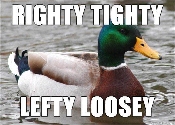 tips from the worlds smartest duck best of actual advice mallard (26)