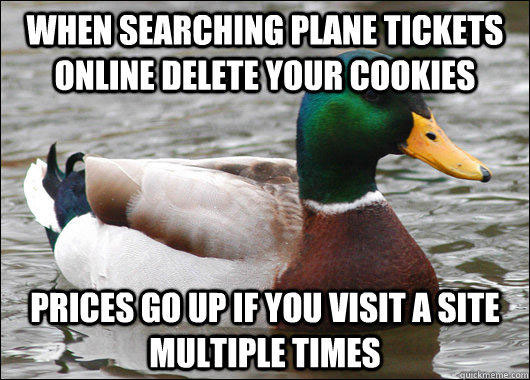 tips from the worlds smartest duck best of actual advice mallard (6)