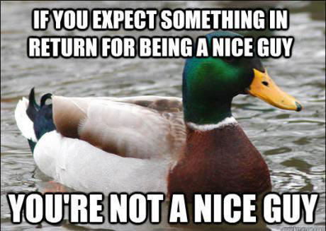 tips from the worlds smartest duck best of actual advice mallard (8)