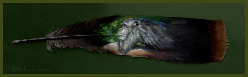 animals painted onto bird feathers by brenda lyons falcon moon studio (10)