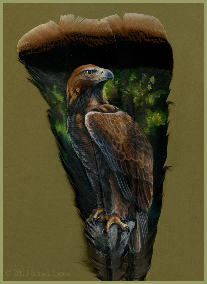 animals painted onto bird feathers by brenda lyons falcon moon studio (9)