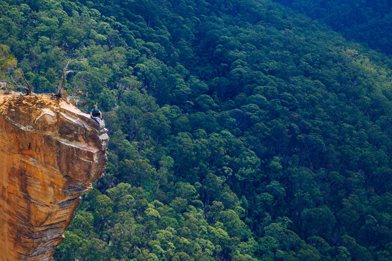 hiking in the blue mountains australia Picture of the Day: Just Hanging Out   Blue Mountains, Australia