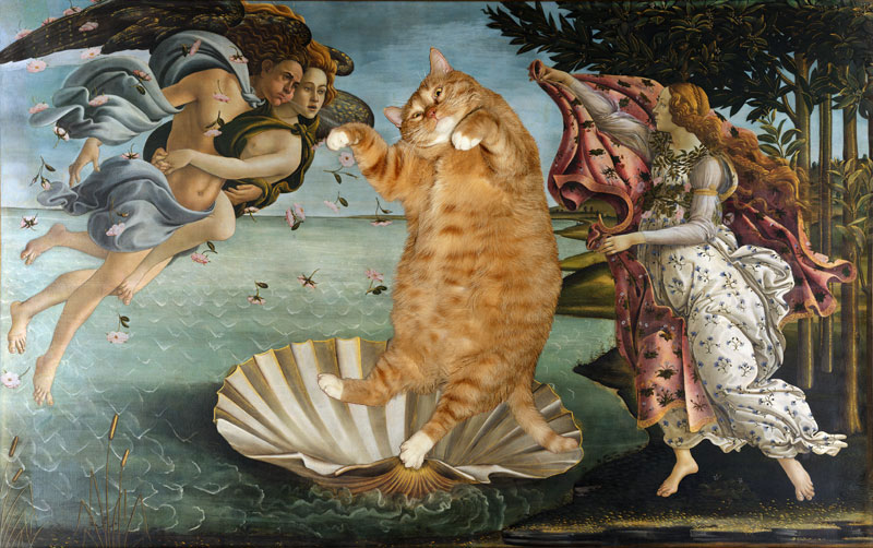 fat cat photoshopped into famous artworks 14 This Cats Chin Fur Makes Him Look Forever Surprised