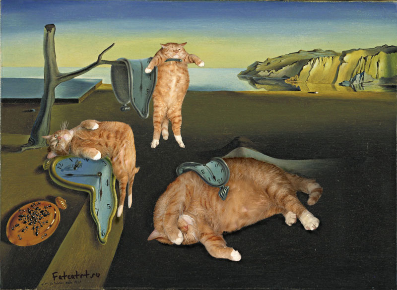 fat cat photoshopped into famous artworks (15)