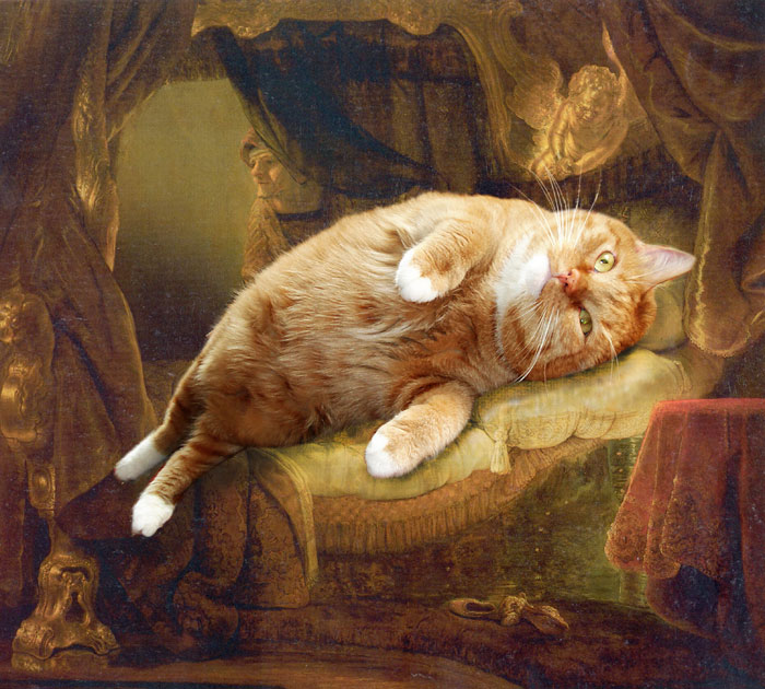 fat cat photoshopped into famous artworks (5)
