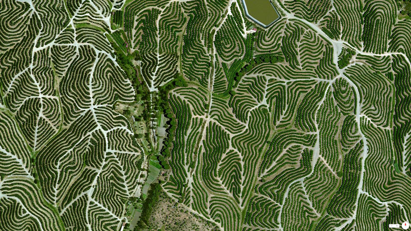 vineyards in huelva spain from above aerial satellite 17 Satellite Photos Around the World that Will Change Your Perspective