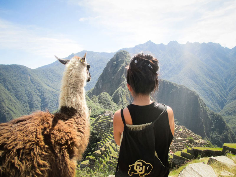 admiring machu picchu with a llama The Top 100 Pictures of the Day for 2014