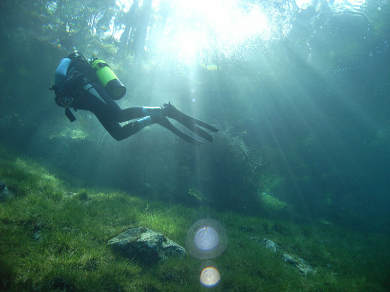 austria underwater park gruner see green lake styria Picture of the Day: A Submerged Park in Austria