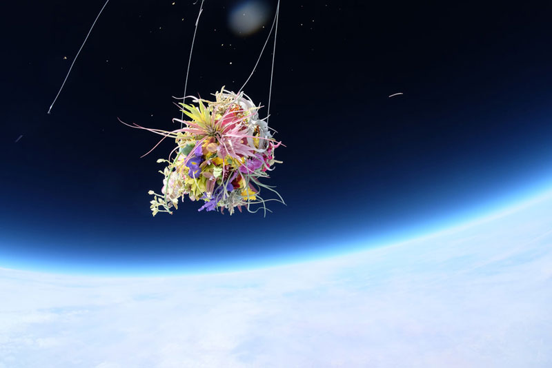 azuma makoto sends flower bouquet into space (1)