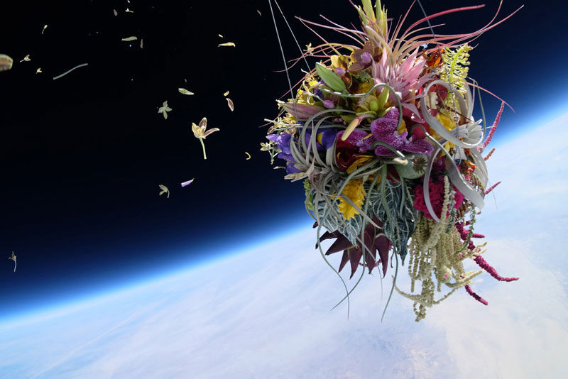 azuma makoto sends flower bouquet into space (2)