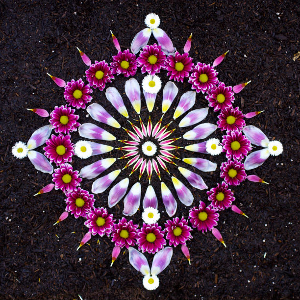 flower mandalas by kathy klein (14)