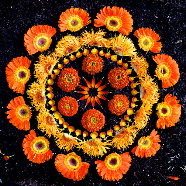 flower mandalas by kathy klein (15)