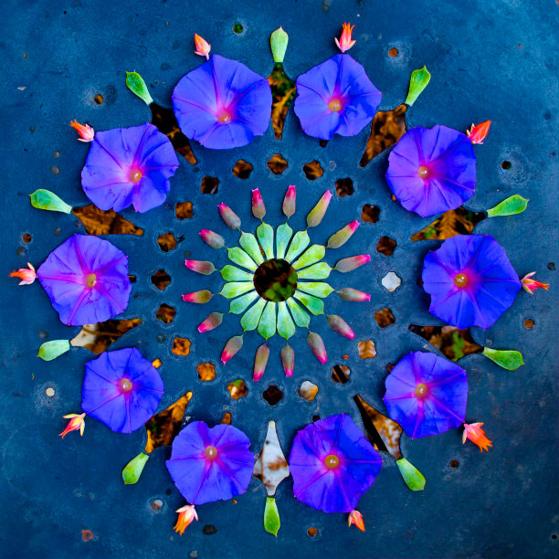 flower mandalas by kathy klein (3)