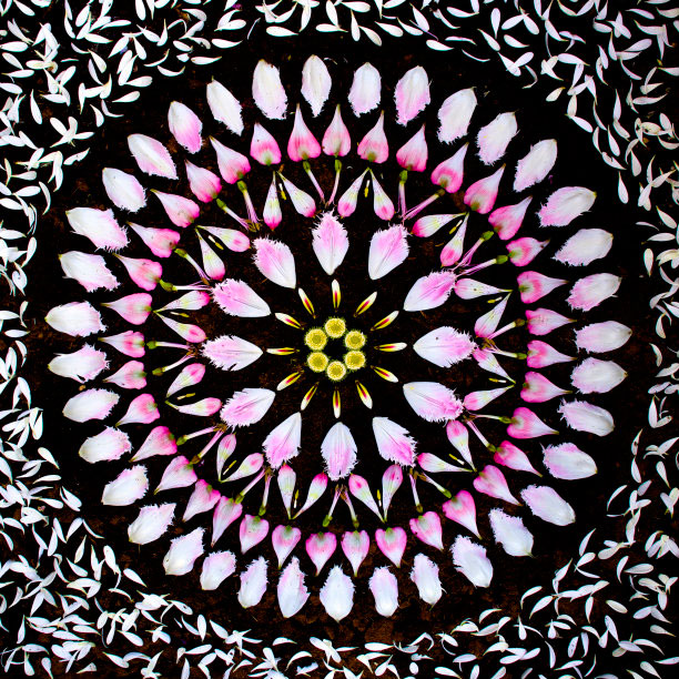 flower mandalas by kathy klein (5)