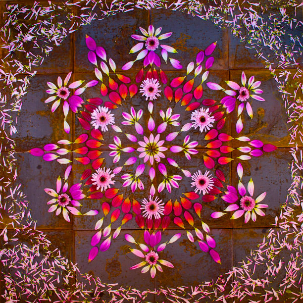 flower mandalas by kathy klein (6)