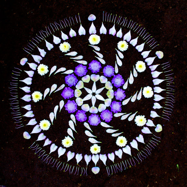 flower mandalas by kathy klein (9)