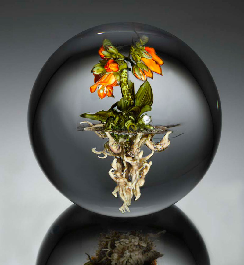 miniature glass gardens encased in clear glass orbs by paul stankard (2)