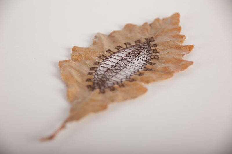 stitched leaves by hillary fayle (3)