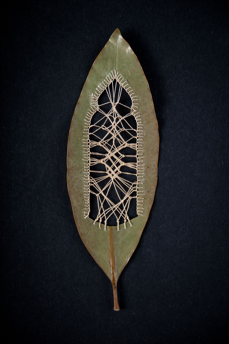 stitched leaves by hillary fayle (8)