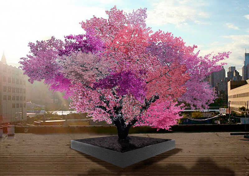 tree of 40 fruit This Tree Bears 40 Different Fruits